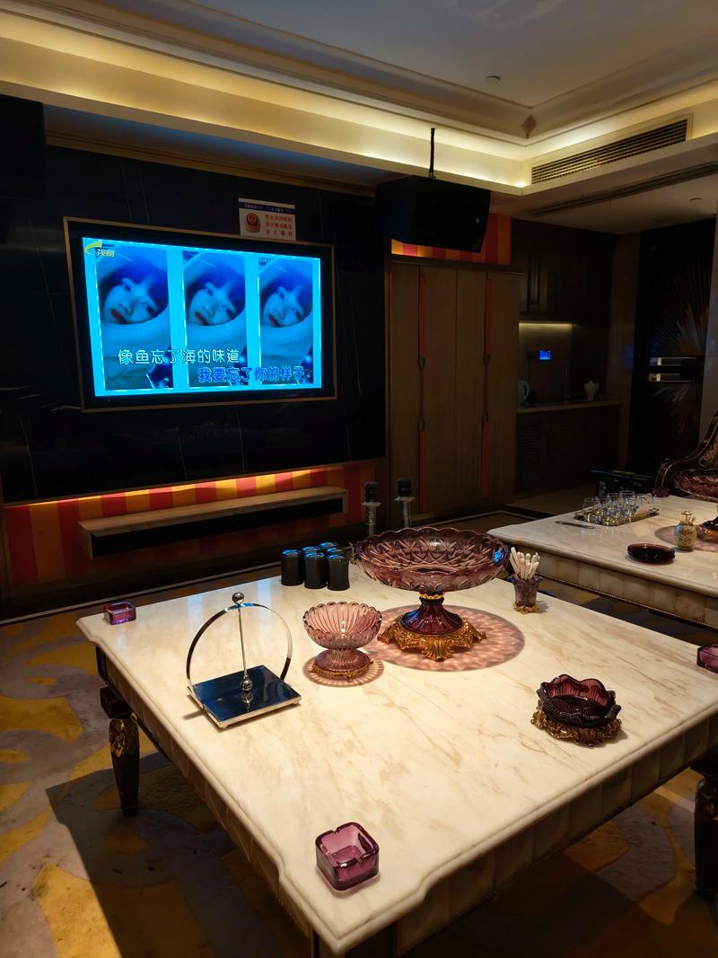 南充商务ktv中低端区别解析-南部县ktv预定